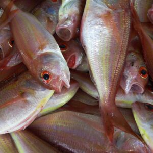 Close-up view of fresh red snapper fish on display at a market, highlighting their vibrant colors.
