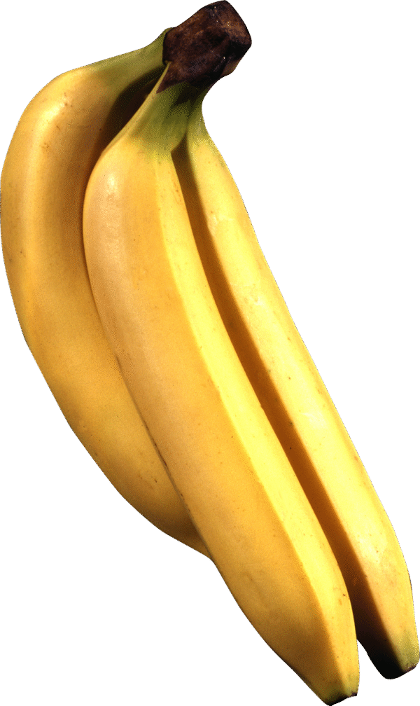 fruits, tree, nature, banana