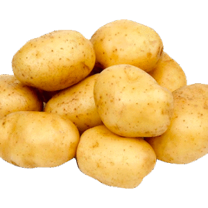 Cocoyam